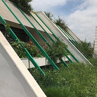 A house in Belgrade with a balcony with supports that run diagonally from roof to ground surrounded by plants