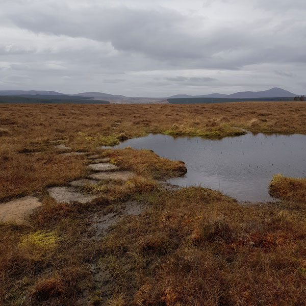 blanket bog at Forsinard Flows Nature Reserve, brown bog with water against a cloudy sky and mountains in the distance