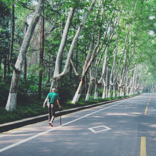 Man walking down tree-lined road