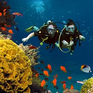 two scuba divers underwater with colourful fish