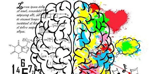 Drawing of brain with writing