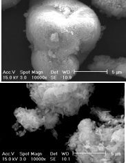 Commercially produced hydroxy apatite (top); biologically produced hydroxyl apatite with larger surface area for trapping radionuclides (lower)