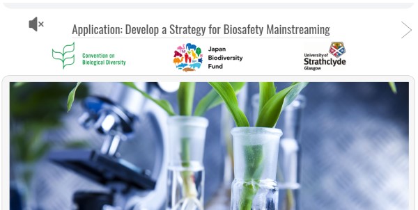 Screenshot Application to Develop a Strategy for Biosafety Mainstreaming