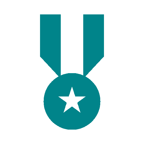 medal icon.