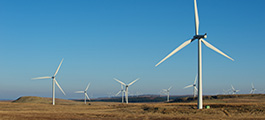 Turbines at wind farm