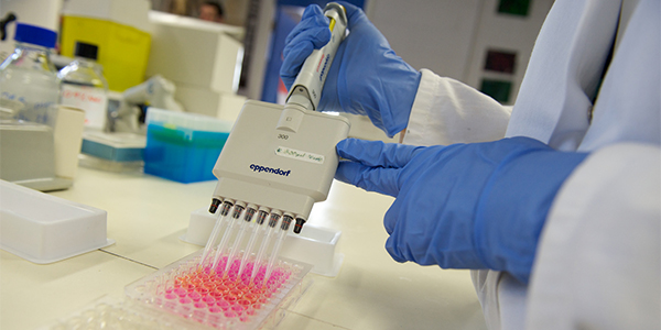 Student working in a biomedical sciences laboratory