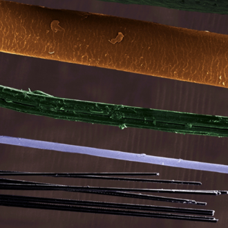 A cropped composite image featuring various fibres all imaged under SEM. The image is colourised to distinguish the different reinforcement fibres shown.