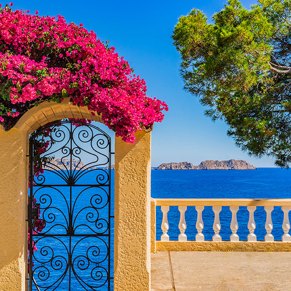 Mediterranean sea Mediterranean sea