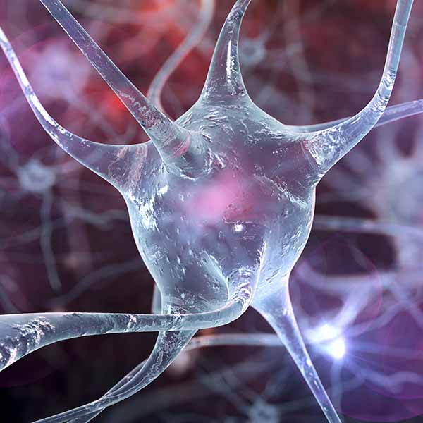 Abstract image of a brain cell Abstract image of a brain cell