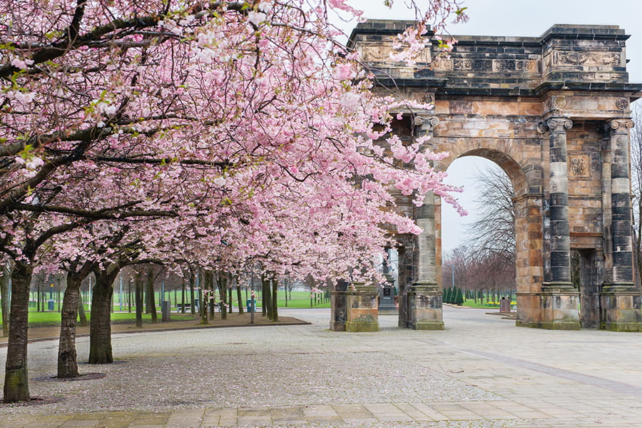 The McLennan Arch, Glasgow Green surrounded by cherry blossom on the trees in spring