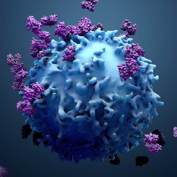 3D illustration of cancer cells. 3D illustration of cancer cells.
