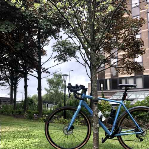 Tree Route Tree Route