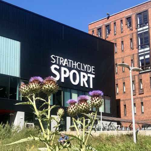 Tree Route Tree Route