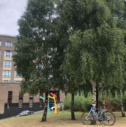 Tree Route Tree Route