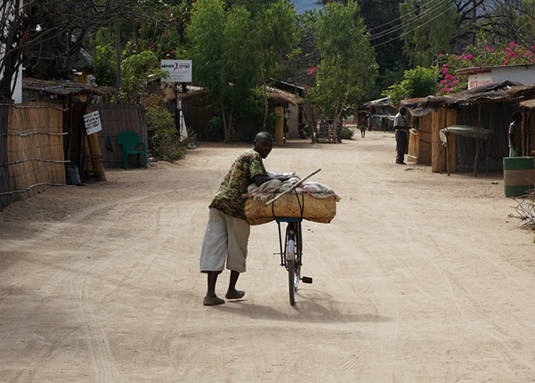 A Malawian farmer taking goods to market on his bicycle