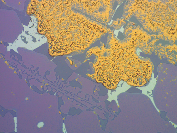 Magnified image of a purple compound that degrades gold and aluminium circuitry