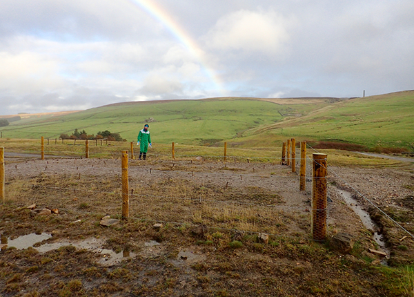 A researcher looks on to a fenced off area of waste ground, with hills and a rainbow in the background