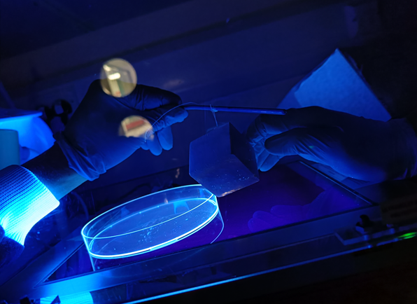 Researcher carrying out lab experiment under ultraviolet light