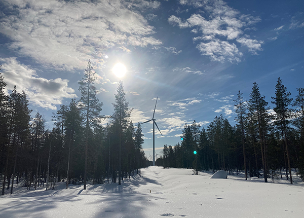 A snowy landscape with tall pine trees lining the horizon and a wind turbine in the middle. The sun low in the sky just above.