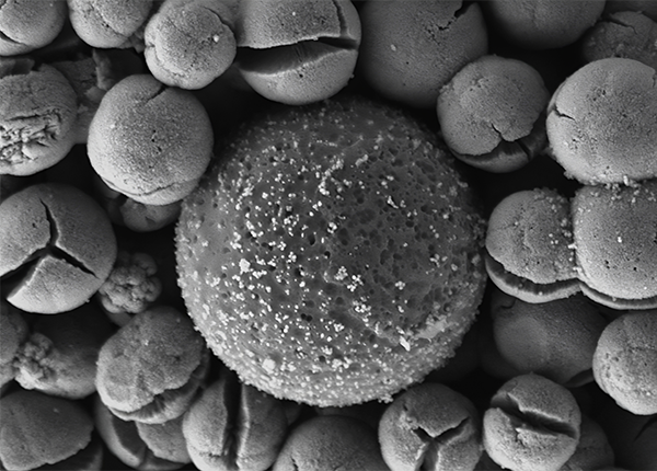 A black and white microscope image of a tiny microplastic molecule surrounded by little spheres with cracks like little mouths 