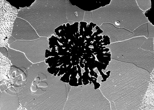 A black and white microscope image of a virus-like black particle