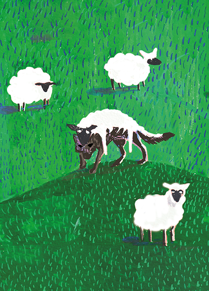 An illustration of a field of sheep with a wolf in the middle with a sheep’s fleece on its back