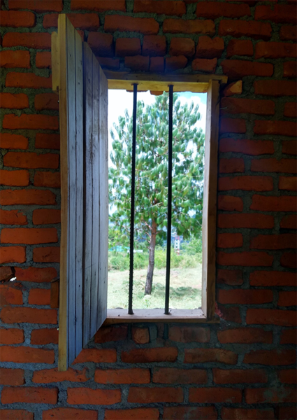 Open window with bars looking out to a tree