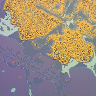 Magnified image of a purple compound that degrades gold and aluminium circuitry 