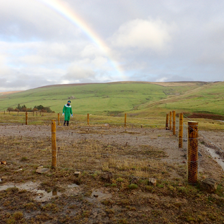 A researcher looks on to a fenced off area of waste ground, with hills and a rainbow in the background