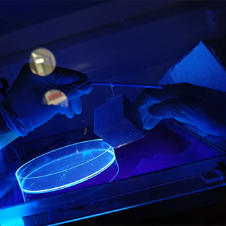 Researcher carrying out lab experiment under ultraviolet light
