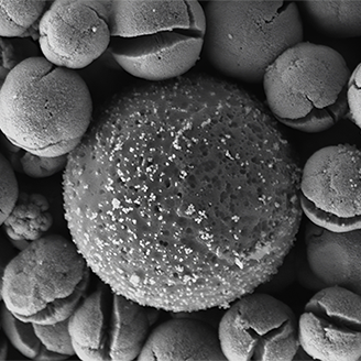 A black and white microscope image of a tiny microplastic molecule surrounded by little spheres with cracks like little mouths 