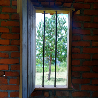 An open window with bars looking out to a tree