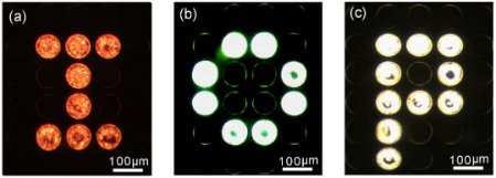 colour-tuneable micro-LED array