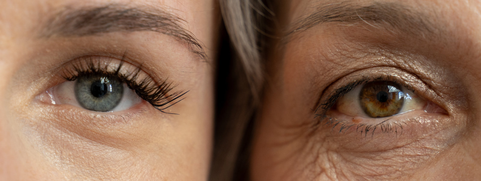 Two faces at different stages of ageing