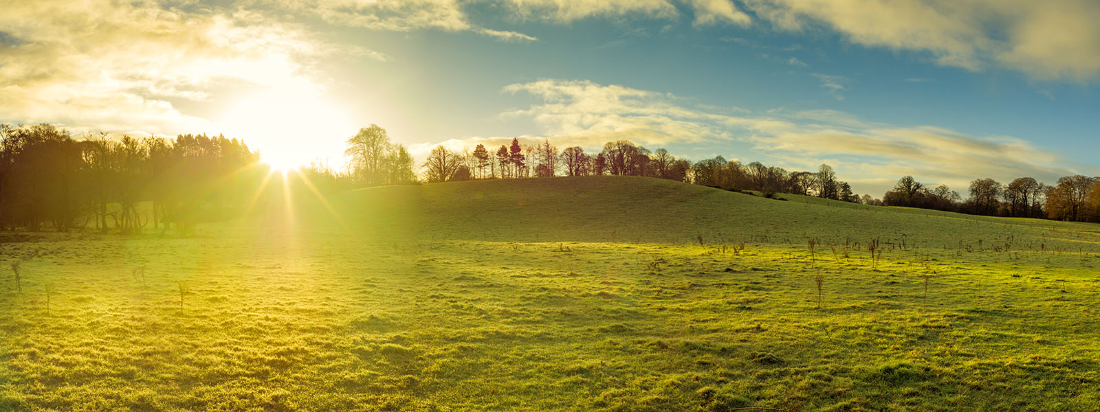 The sun shining over countryside