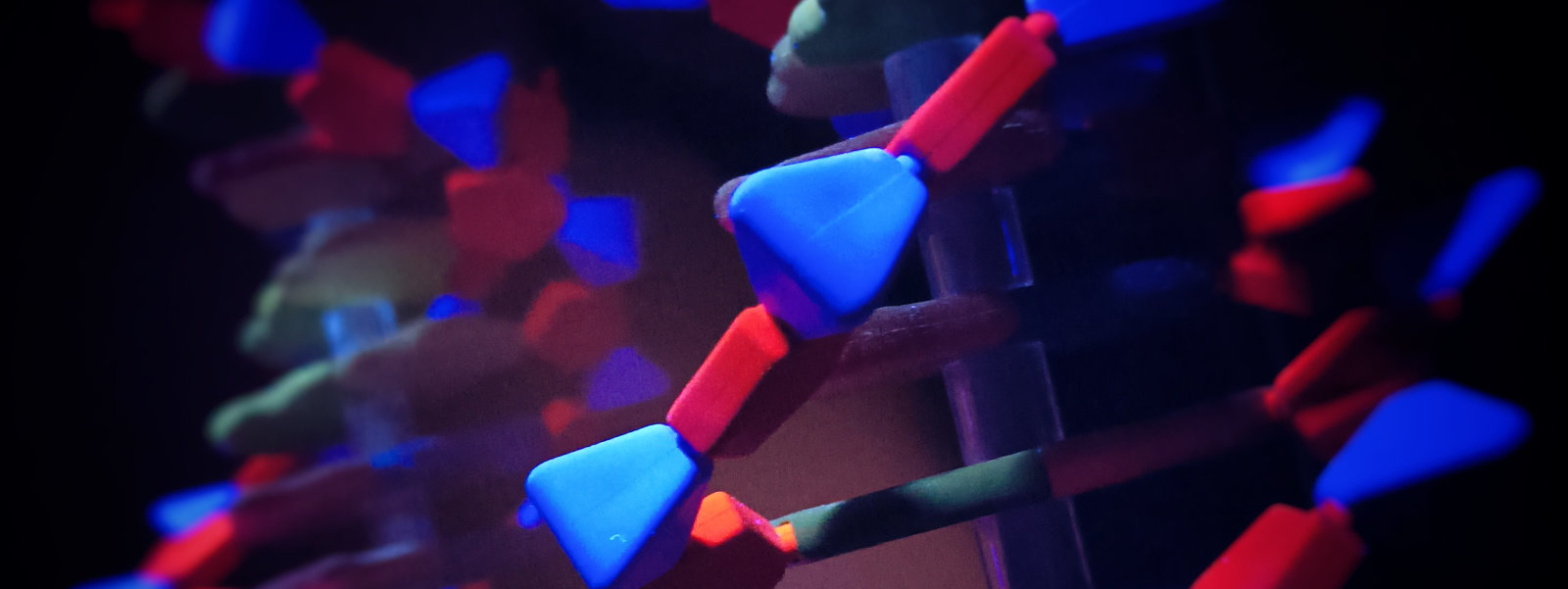 Mirror Life DNA