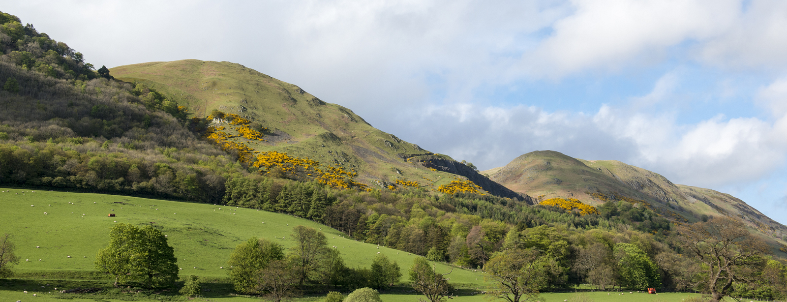 Ochil Hills