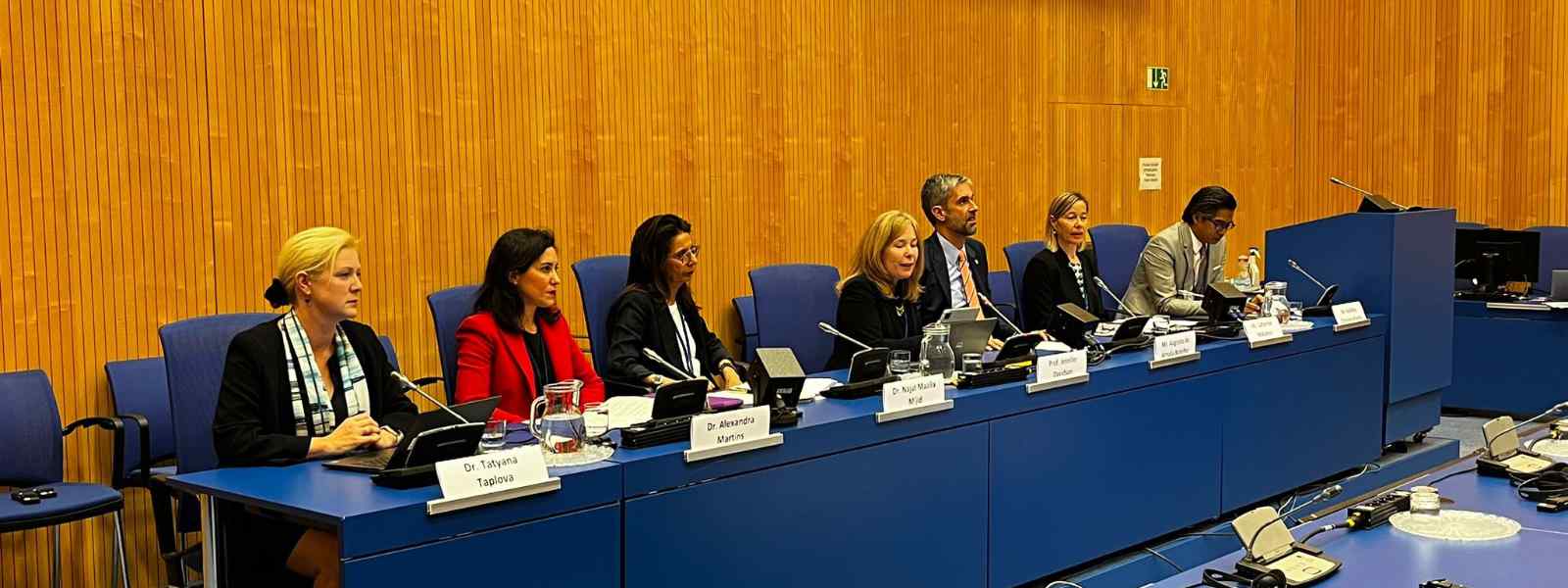 Professor Jennifer Davidson (centre) at the UN's Justice for Children event