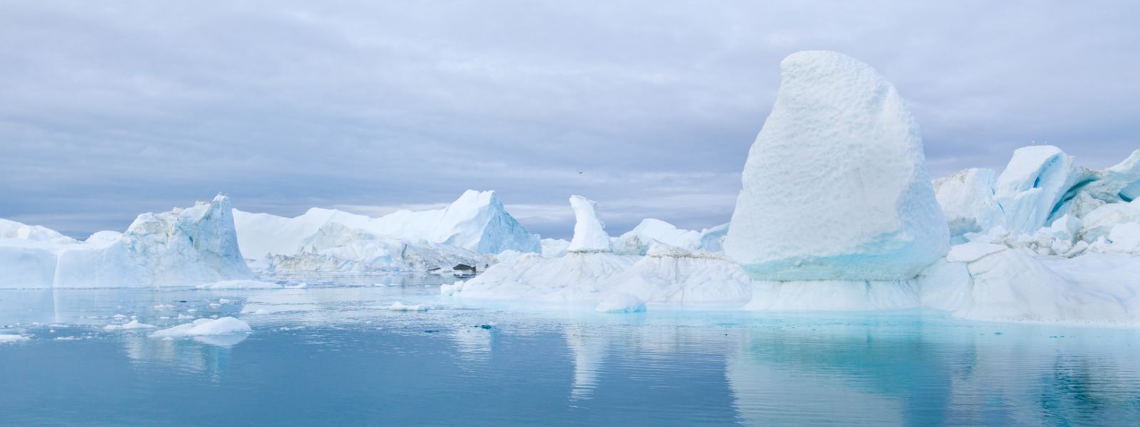 Ice bergs in the Arctic Sea. Ice bergs in the Arctic Sea.