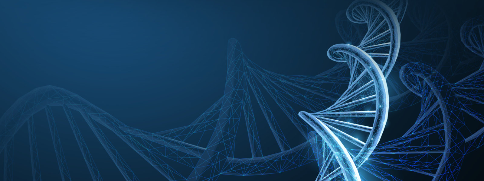Image of DNA