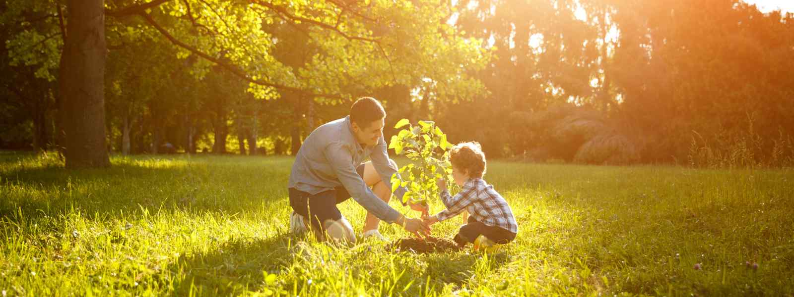 Parent and child planting a tree