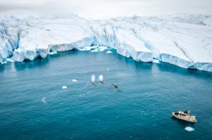 Greenland