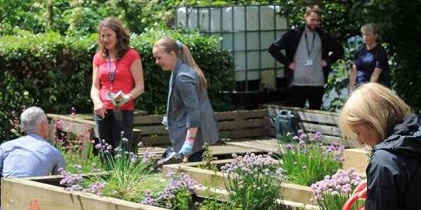 A group of people gardening in the University of Strathclyde Community Garden