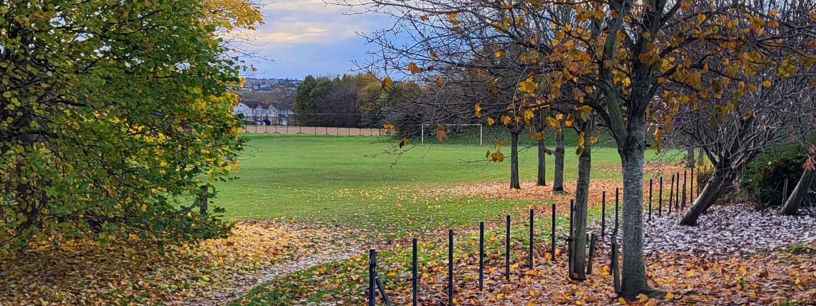 A park in autumn with leaves on the ground