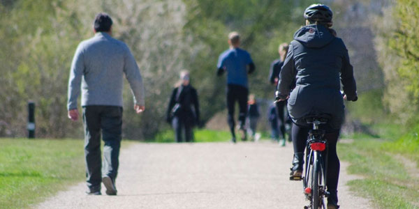 cyclists cycling through a park