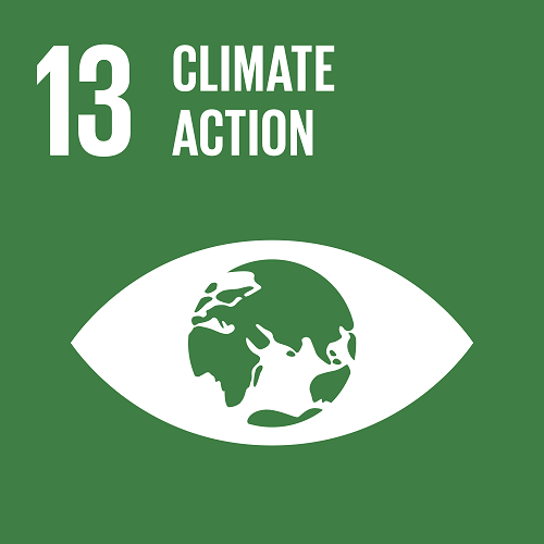 UN SDG 13 - Climate Action logo