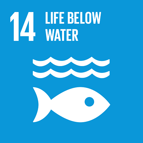UN SDG 14 - Life Below Water logo