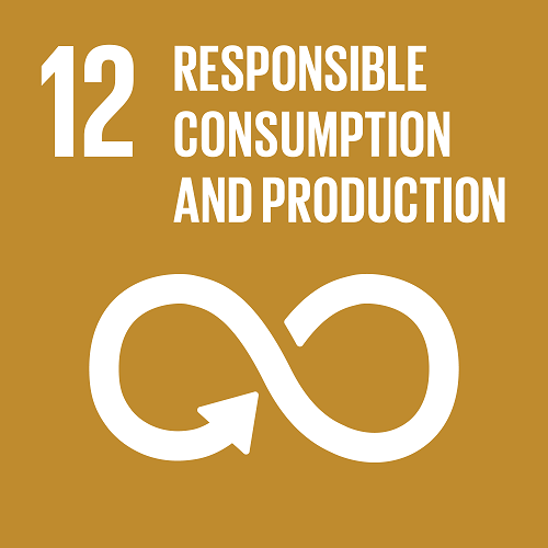 UN SDG 12 - Responsible Consumption and Production logo