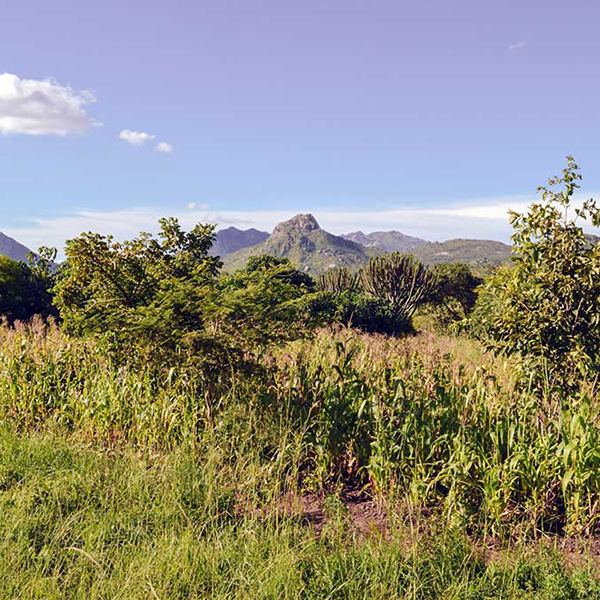 malawi landscape