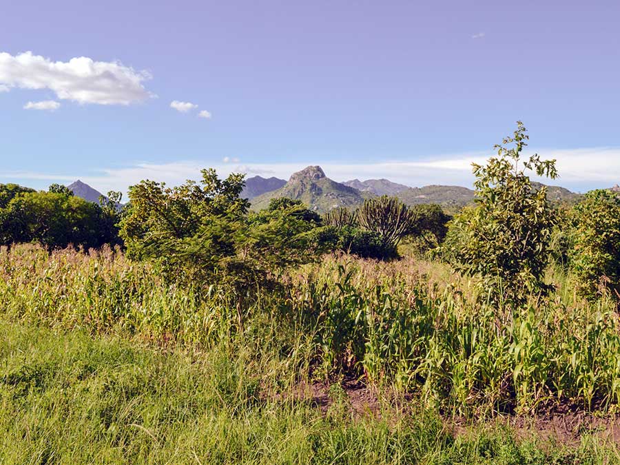 Green landscapes with mountains of different shapes in Malawi.